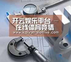 研发能力标题一