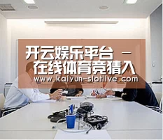 研发能力标题二