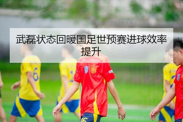 wu-lei-zhuang-tai-hui-nuan-guo-zu-shi-yu-sai-jin-qiu-xiao-lv-ti-sheng-3-208.jpg