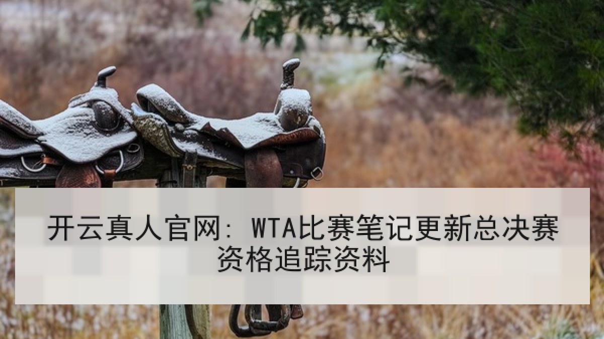 开云真人官网: WTA比赛笔记更新总决赛资格追踪资料