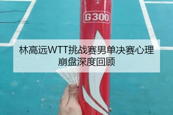 林高远WTT挑战赛男单决赛心理崩盘深度回顾