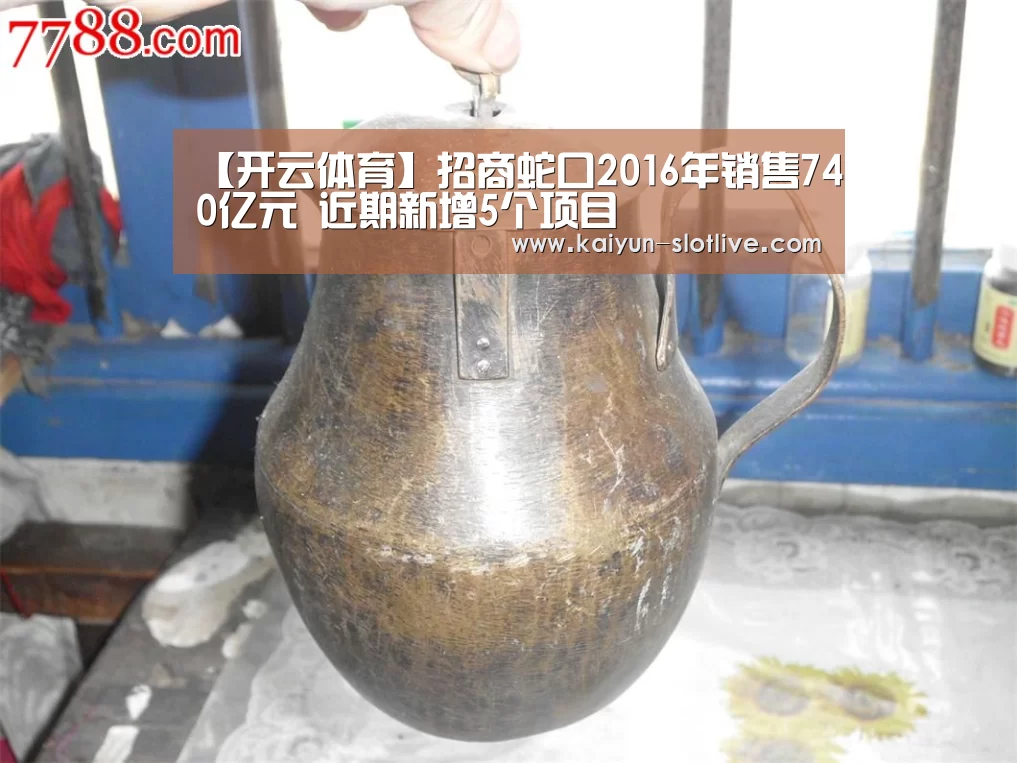 【开云体育】招商蛇口2016年销售740亿元 近期新增5个项目(图4) 开云足球