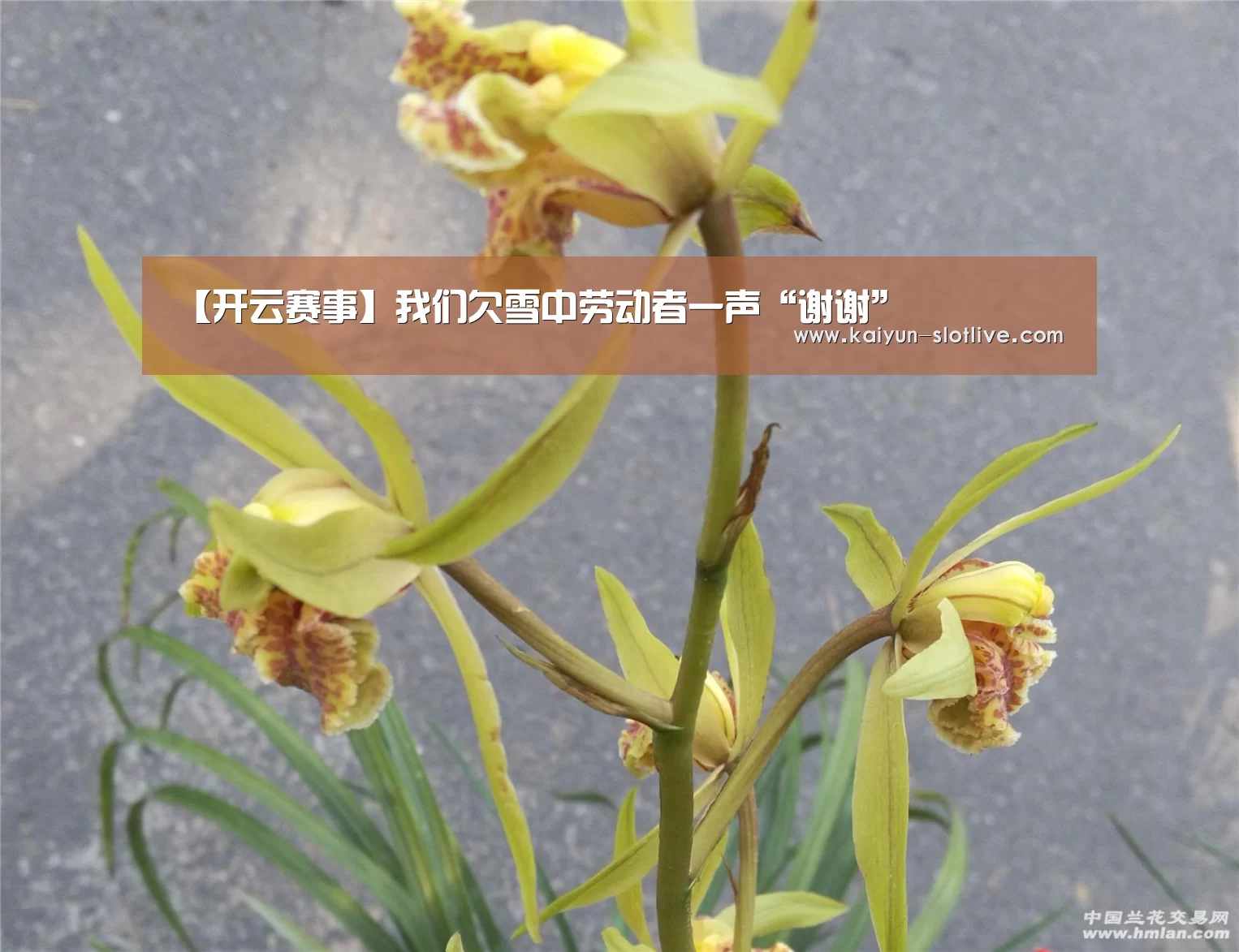 【开云赛事】我们欠雪中劳动者一声“谢谢”