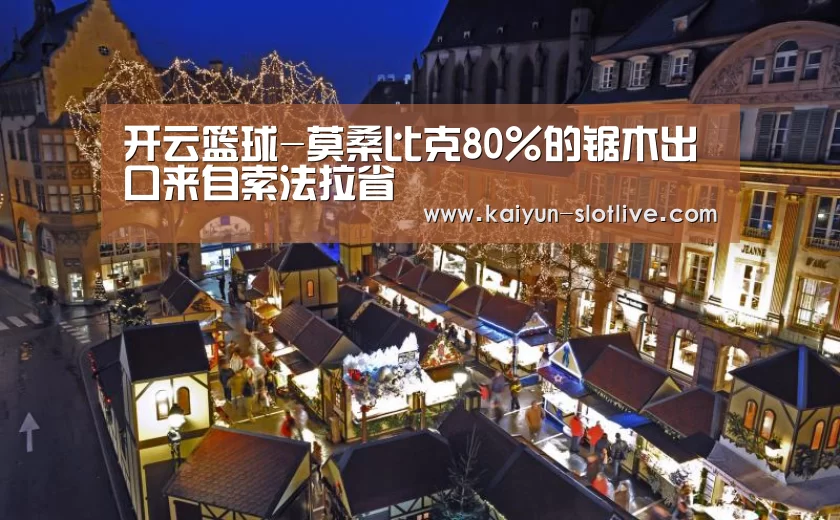 开云篮球-莫桑比克80%的锯木出口来自索法拉省