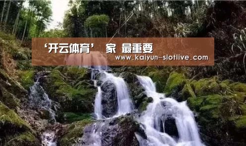开云篮球