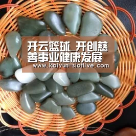 开云篮球_开创慈善事业健康发展新局面