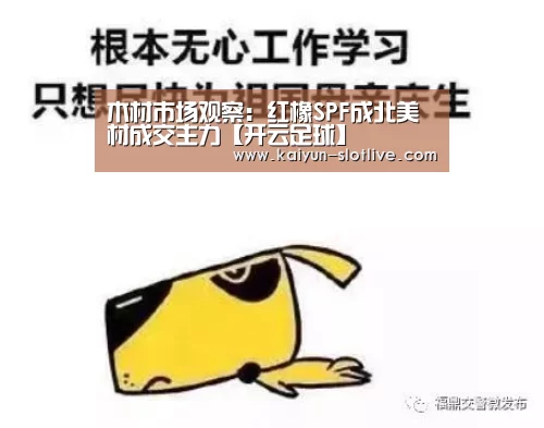 木材市场观察:红橡SPF成北美材成交主力【开云足球】(图2) 开云体育