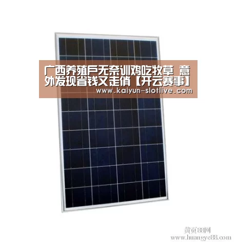 开云体育