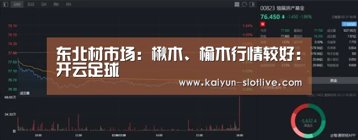 开云篮球